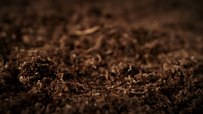 Super Slow Motion Macro Shot of Wated Drops Falling and Splashing on Soil Substrate at 1000fps.