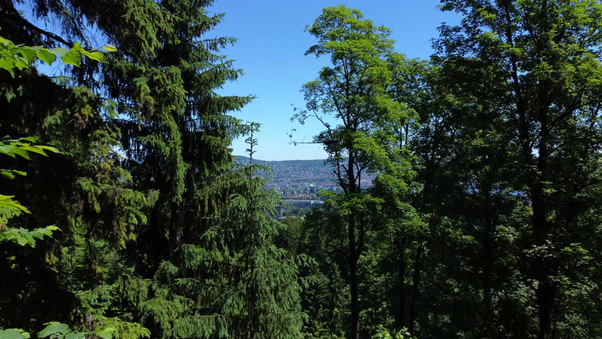 Zurich City Aerial Reveal - Drone View Dolly In From Between Trees