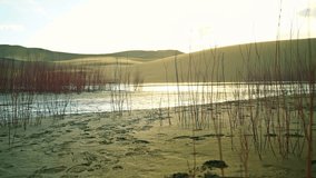 Sunlight glimmers across still sand dunes and grass in the Great Sand Dunes National Park, light reflects across water, natural backdrop background - Powered by Shutterstock - Get 15% off with code: PIKWIZARD15