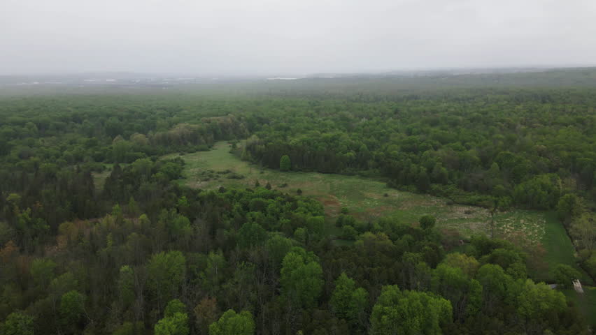 Great Lakes-St. Lawrence Forest With Evergreen Deciduous Trees In Schomberg, Ontario, Canada. Aerial Wide Shot