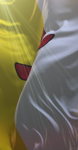 Flag of the federal territory of Nunavut, Canada. Loop. 4K Vertical