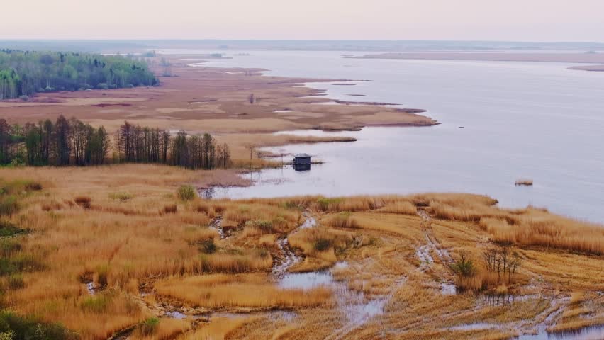 Wetland landscape with golden reeds, quiet shoreline, and shelter near Pape Lake