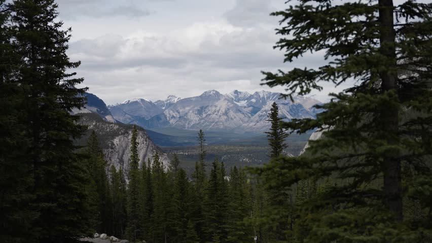 Fir trees line hillside below majestic mountain range, peaceful outdoor nature overview, natural backdrop