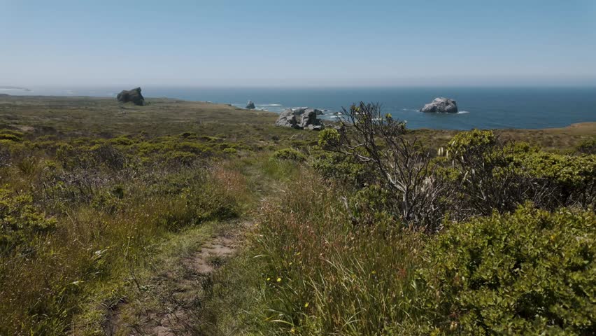 A scenic footage of the Sonoma rugged coastline in Sonoma County, California, USA on a sunny day