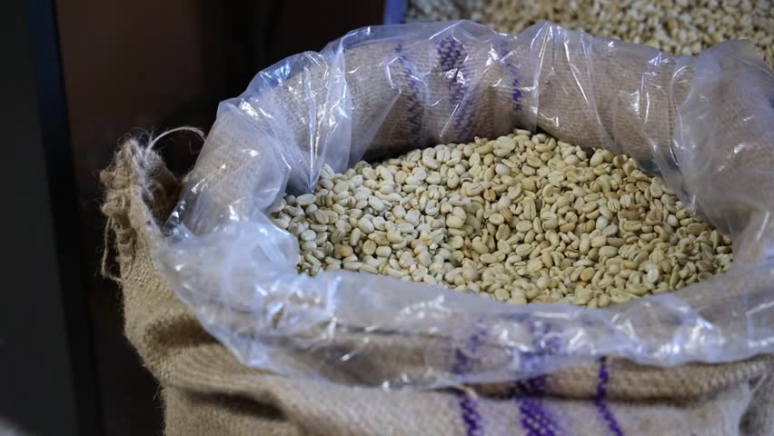 A full sack of raw coffee beans, carefully stored in burlap and plastic, ready for processing
