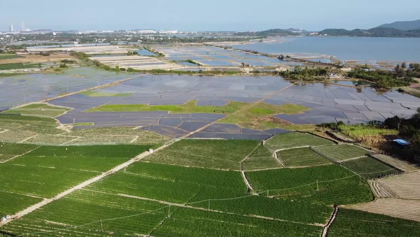 Aerial view of the rural Sanya rice paddy fields on Hainan Island in China 1