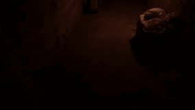 Walking down old cellars. Walk along an old underground corridor lit by candle light. The concept of mystery and fear - Powered by Shutterstock - Get 15% off with code: PIKWIZARD15