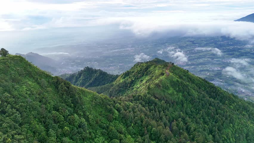 Aerial view of mountain slope with greenery landscape of forest and sea of clouds