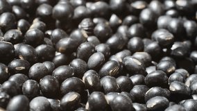 Black beans, seeds, nuts, grains, plants close up, raw chinese soy bean in supermarket, macro. - Powered by Shutterstock - Get 15% off with code: PIKWIZARD15