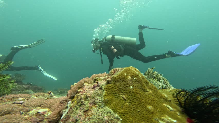 Underwater diving footage in Indonesia
