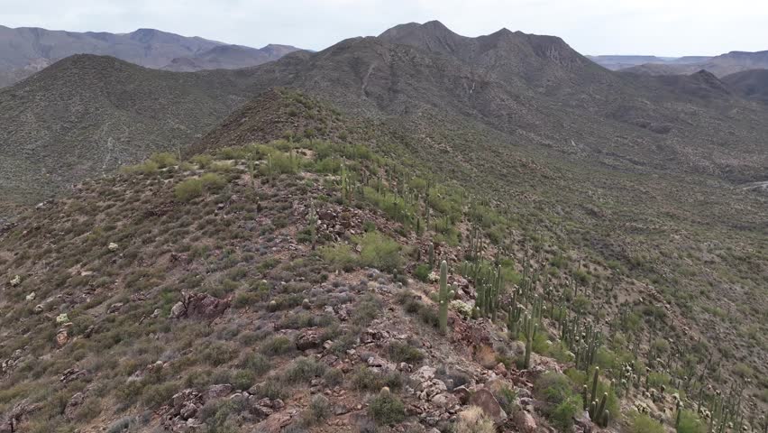 Aerial view of rugged desert landscape with mountains and cacti along the Gila River, Pinal County, Arizona, United States.