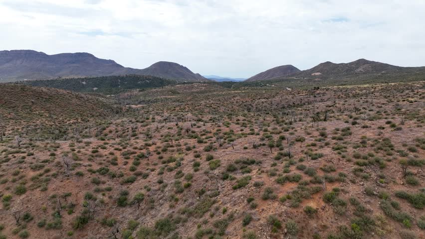 Aerial view of rugged desert landscape with distant mountains and serene sky, Pinal County, Arizona, United States.