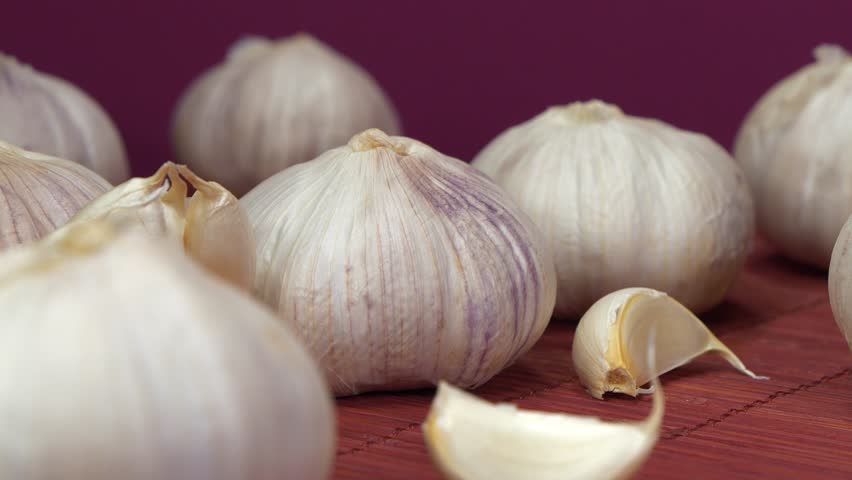Garlic rotates on pink background. Garlic, Allium sativum, species of bulbous flowering plants in genus Allium. Garlic - very healthy product with many beneficial properties for health