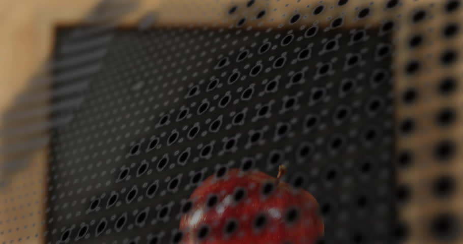 Glossy red apple on book getting wrapped by drifting binary grid before retreating visualizing data. Technology, data, digital, education, innovation, futurism, interface