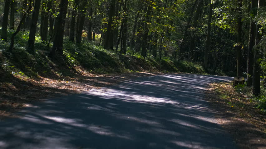 Driving through forest on narrow asphalt road. Sunlight streaming through the trees illuminates a narrow asphalt road winding through a lush forest. The scene captures the beauty of nature