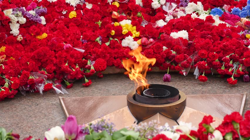 The Victory Monument and the eternal flame with carnations, a symbol of victory over fascism and May 9. Russia.