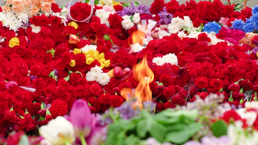 The Victory Monument and the eternal flame with carnations, a symbol of victory over fascism and May 9. Russia.