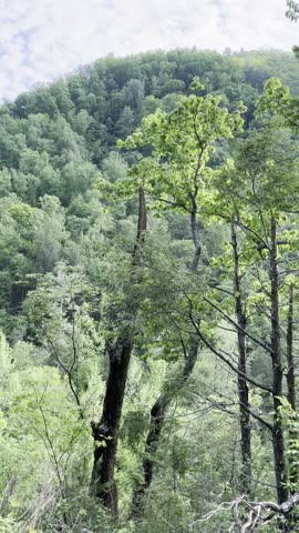 Spruce Flats Falls, waterfall, Great Smoky Mountains, Tennessee nature, Smoky Mountains, hiking trail, 4K nature, HDR waterfall, scenic waterfall, forest waterfall, mountain stream, flowing 