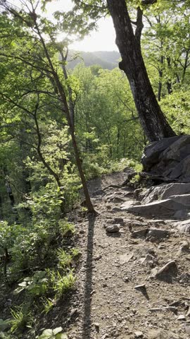 Spruce Flats Falls, waterfall, Great Smoky Mountains, Tennessee nature, Smoky Mountains, hiking trail, 4K nature, HDR waterfall, scenic waterfall, forest waterfall, mountain stream, flowing 