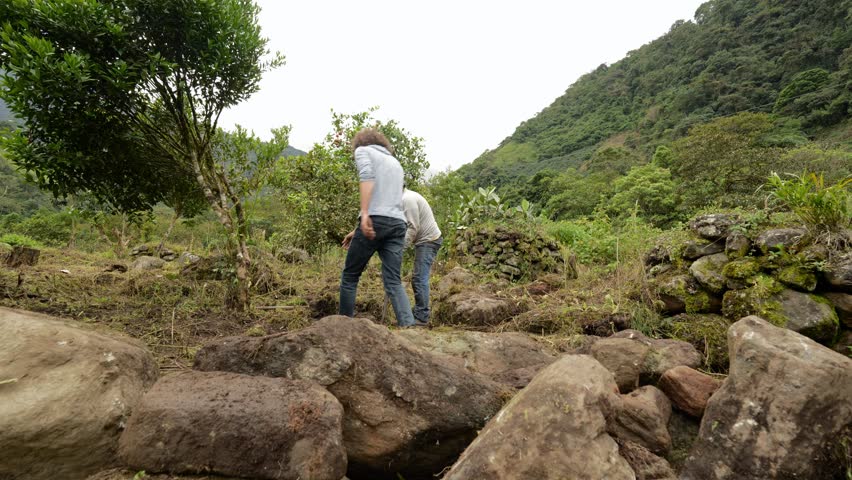 Farmers working together, removing rocks and preparing the soil for cultivation in a rural landscape