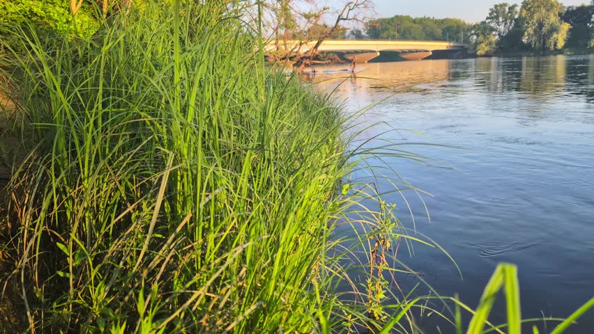 Shoreline of the Wisconsin River near the town of Portage
