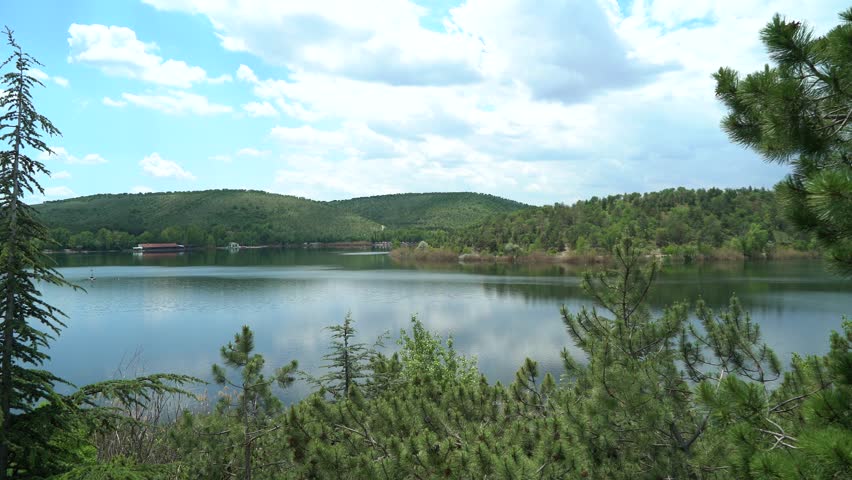 Lake Surrounded by Pine Trees