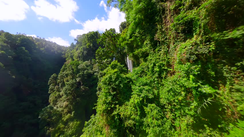 Cinematic FPV drone shot flying through lush jungle branches and diving over the edge of Sekumpul Waterfall in Bali, Indonesia, with stunning tropical scenery and immersive movement.