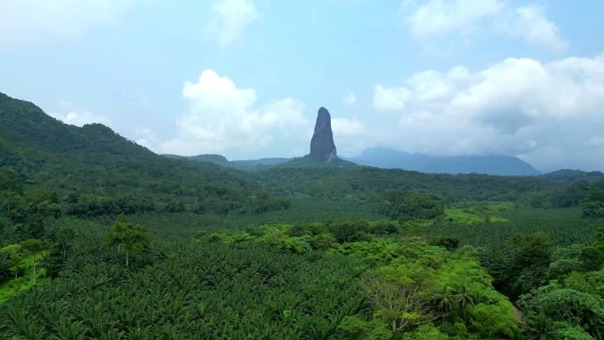Flying over agripalma, an a industrial oil palm plantations in the Republic of São Tomé and Príncipe with Peack Cão Grande as background. Africa