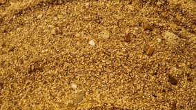 Female hand moves across beach sand from left to right as if erasing invisible text.  Concept of memory, time, and disappearance. Background with space for text. Mockup stage template. - Powered by Shutterstock - Get 15% off with code: PIKWIZARD15