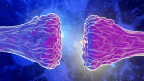 This animated video shows two neuron terminals exchanging signals through synaptic vesicles, illustrating neurotransmission in a vibrant style with glowing particles transferring across the synapse.  - Powered by Shutterstock - Get 15% off with code: PIKWIZARD15