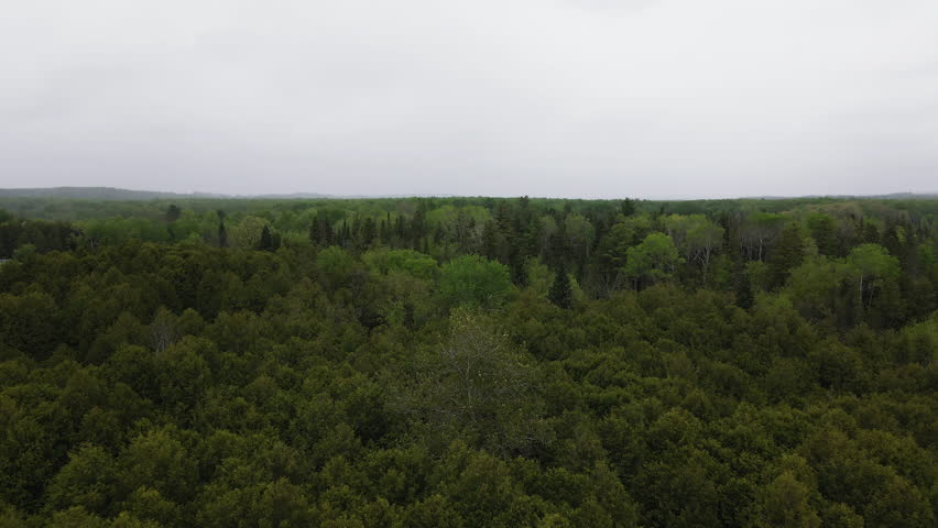 Evergreen Deciduous Trees In The Forest Near Schomberg, Ontario, Canada. Aerial Wide Shot