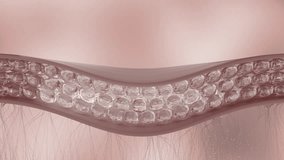 Medical Background Animation Skin Cell. Cosmetics Beauty Skin Care Concept. 3d Skin Collagen through Wrinkle Layer Reduce Up Saggy Skin of Body Molecule Element. Serum and Vitamin 3d Motion Graphic 4k - Powered by Shutterstock - Get 15% off with code: PIKWIZARD15