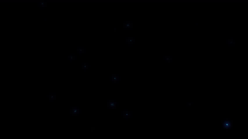 Animated Spider Web with Alpha Channel Transparency