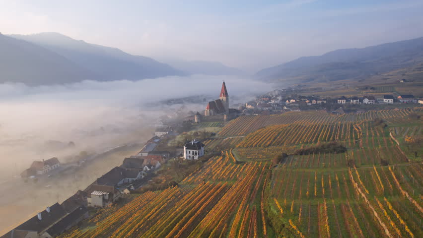 Aerial panorama of Weisenkirchen in der Wachau town and vineyards at autumn morning with fog over Danube river. Wachau valley, Austria.