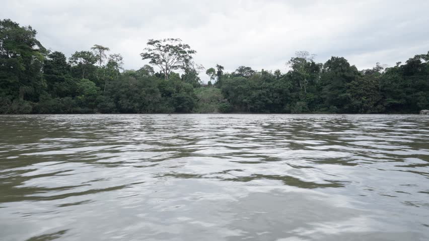 Gentle water surface flowing across Misahualli river, surrounded by lush rainforest vegetation under cloudy skies in Ecuador