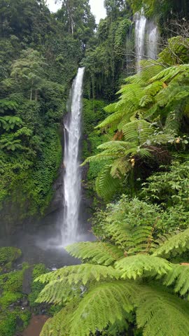 Drone view of Sekumpul Waterfall in Bali, Indonesia. Stunning jungle scene with cascading streams and lush green tropical vegetation.