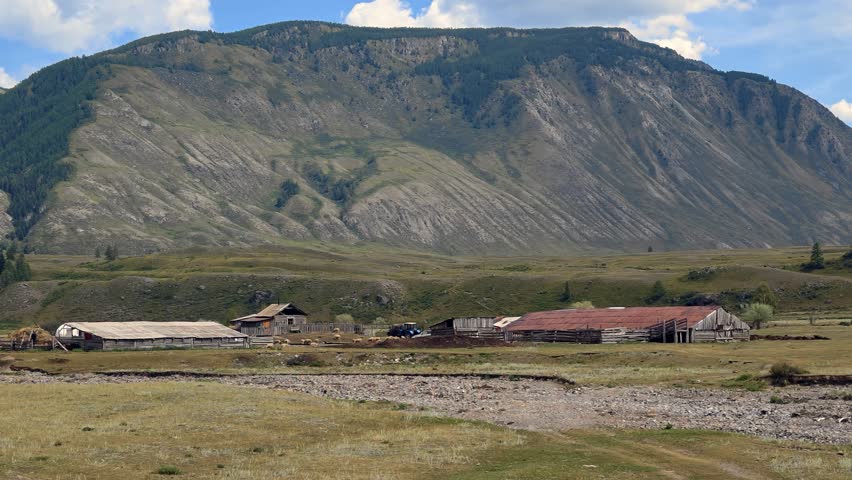 Video of a livestock farm on the banks of the Belgebash river in Altai. Rural landscape in the mountains. On background mount and blue sky with clouds.