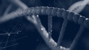 Upon startup 3D DNA helix rotating while data scrolling and mesh revealing genetic processing. Molecular, technology, futuristic, data, visualization, innovation, digital - Powered by Shutterstock - Get 15% off with code: PIKWIZARD15