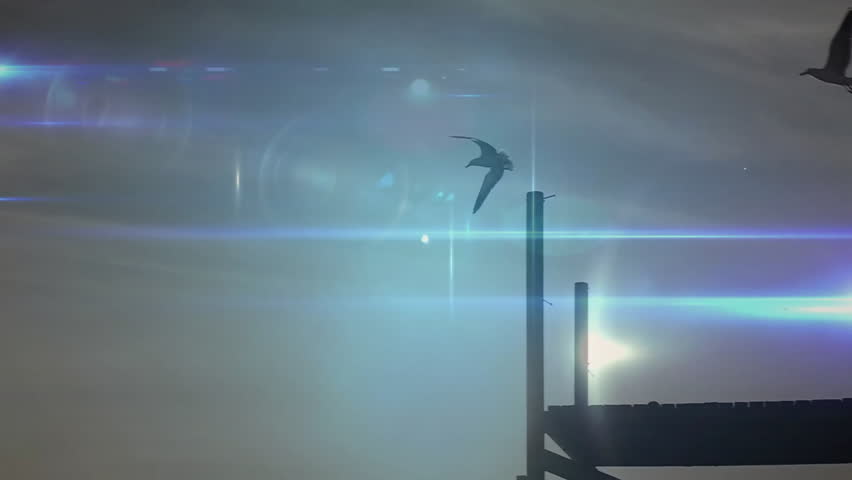 Glowing node materializing at dawn with seagulls weaving through expanding network visualizing link. Silhouette, connectivity, sunrise, nature, abstraction, serenity, technology