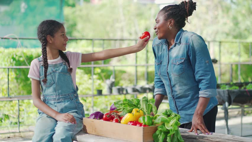 Black farmer mother and daughter enjoy produce in vegetable farm agriculture business growth and packing produce African worker or supplier excited about harvest and gardening