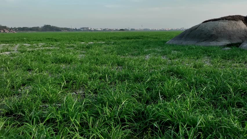 Green field with large boulder overlooking distant town under a cloudy sky