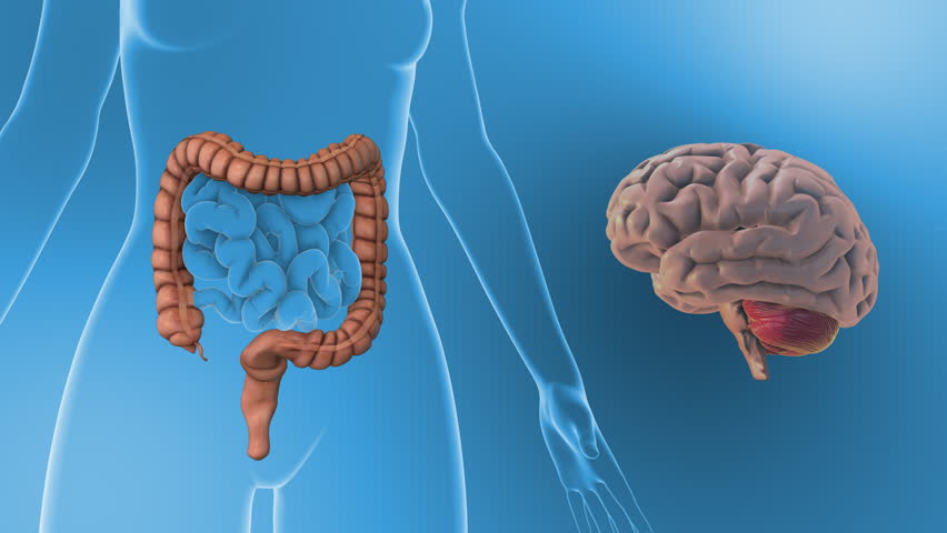 Subconscious Brain Impact on Intestinal Function Triggers IBS