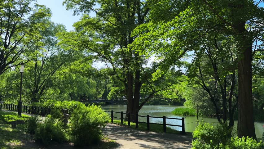 Relaxing view of trees, lake, and greenery in Sapporo Nakajima Park, Japan