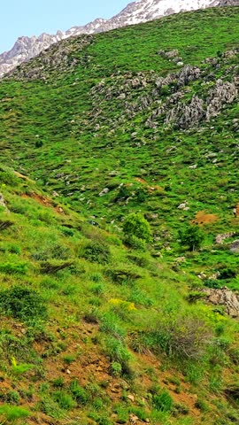 Hawraman Takht in spring is a hidden paradise for nature lovers and adventurers, where vibrant greenery and breathtaking landscapes create unforgettable memories.
📍Hawraman Takht - Kurdistan 