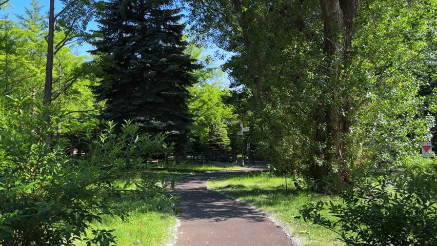 A peaceful sunny day on a winding path through Sapporo