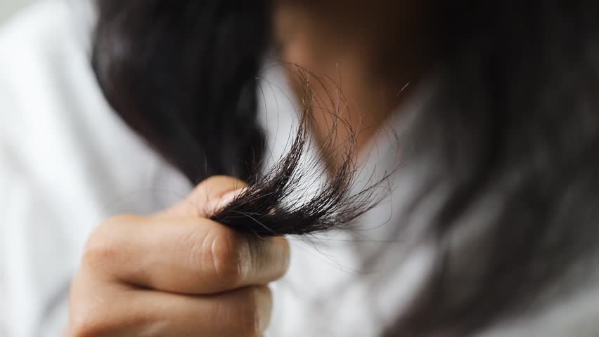 Women with hair loss dryness and frizziness	