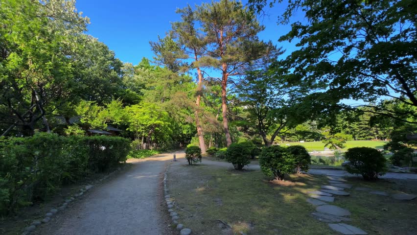 Peaceful park pathway with trees and blue sky in Sapporo Nakajima Park