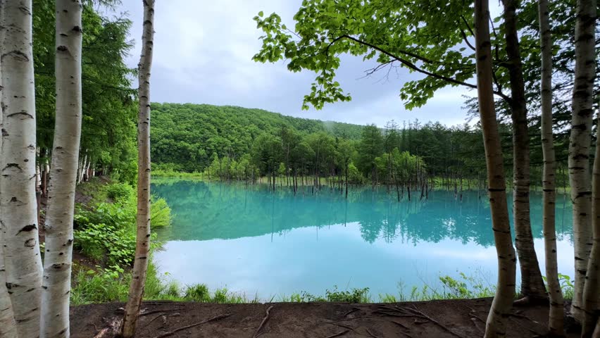 Still blue pond surrounded by green trees under cloudy sky in Biei, Hokkaido