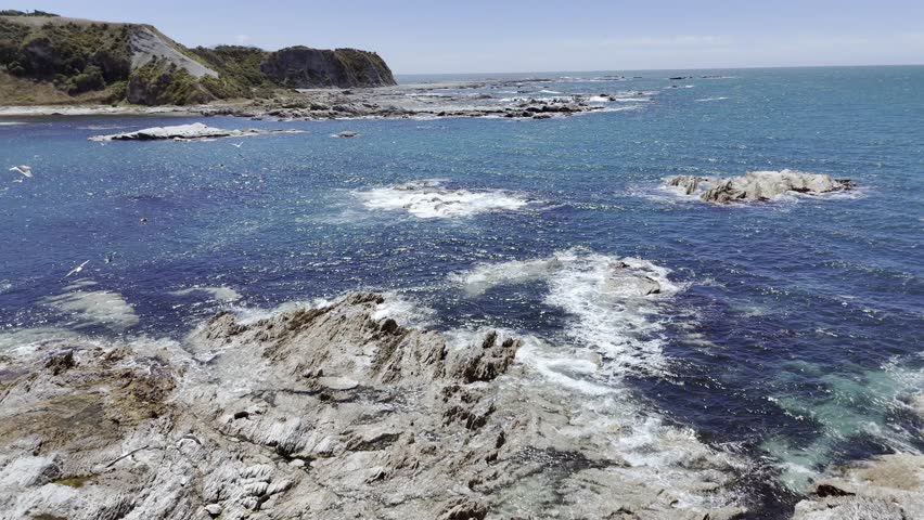 Flying over rocky coast with birds and seals in Kaikoura, New Zealand. Wildlife conservation, travel