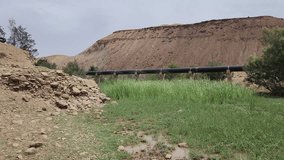 Desert oasis green vegetation arid landscape - Powered by Shutterstock - Get 15% off with code: PIKWIZARD15